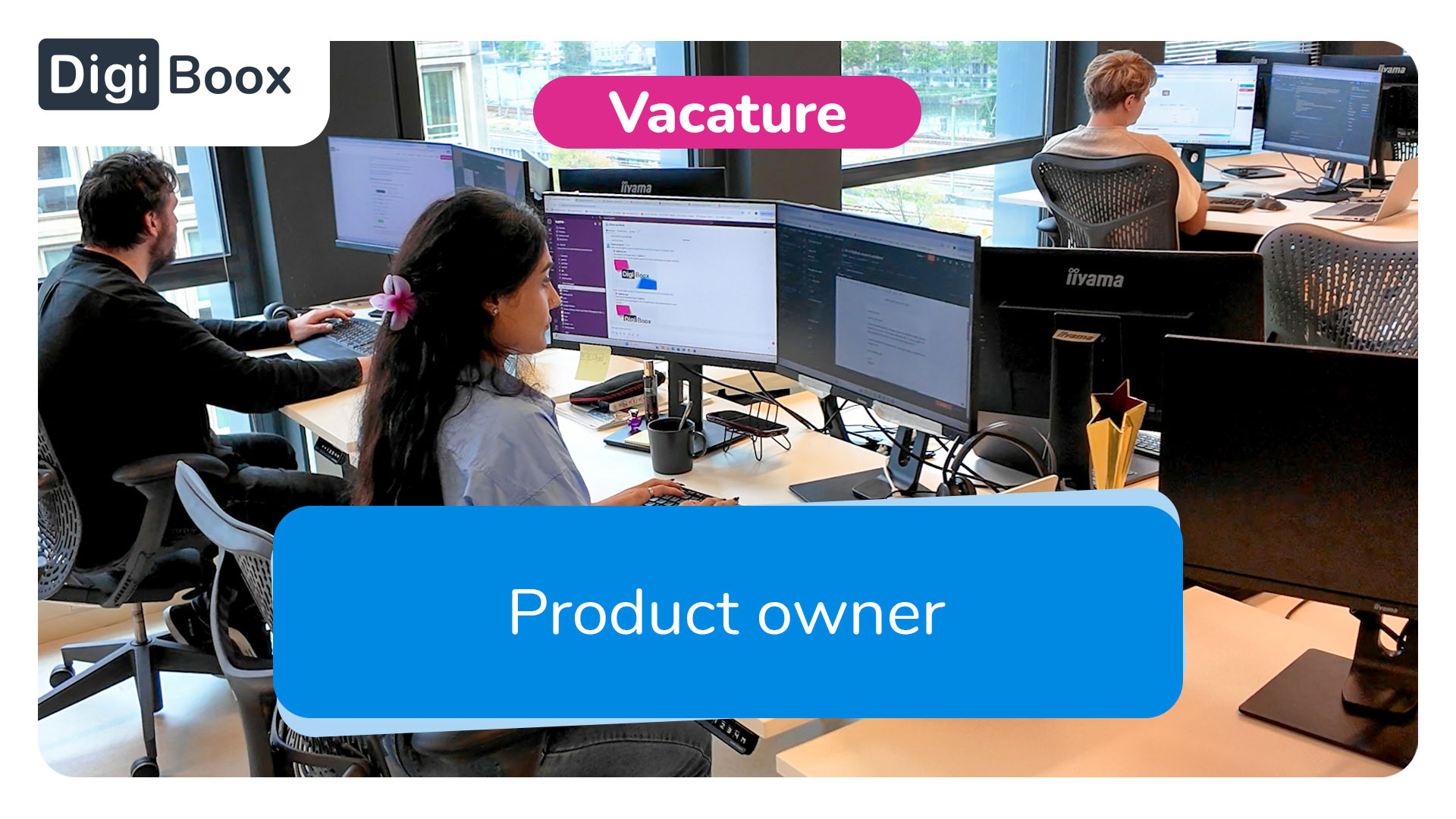 Product Owner DigiBoox